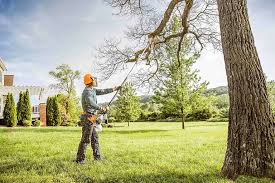 Leaf Removal in Pataskala, OH